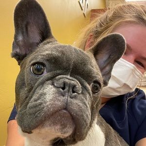 Meet your Posher, Maddy